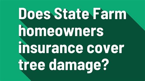 Does State Farm Homeowners Insurance Cover Tree Removal